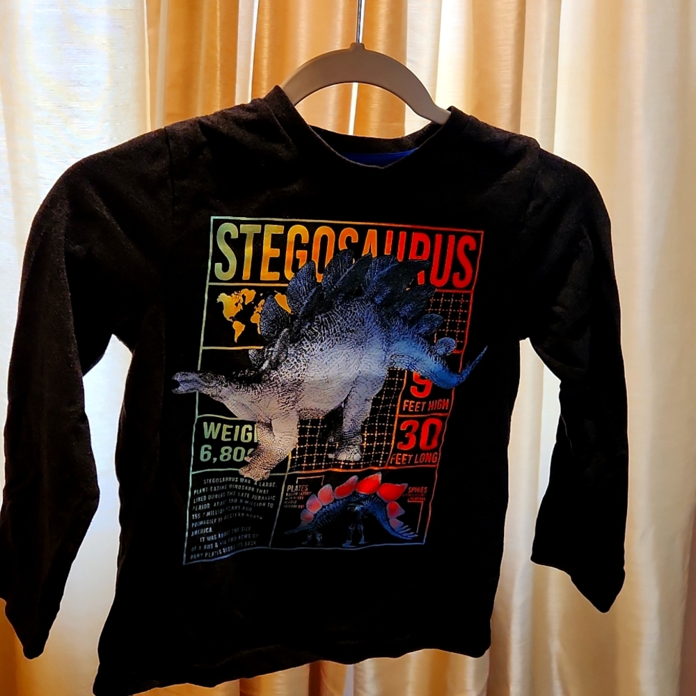 Dark gray Long Sleeved T-shirt from Children's Place with Stegosaurus theme